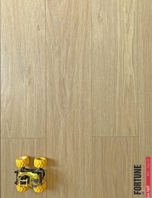 sàn gỗ fortune f 969 12mm