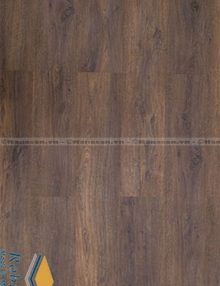 Sàn gỗ robina 0120 8mm