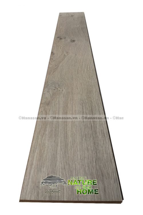 Sàn gỗ rainforest ir83 8mm