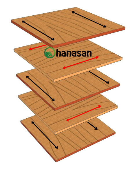 cấu tạo gỗ công nghiệp plywood hanasan
