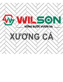 Sàn gỗ xương cá Wilson